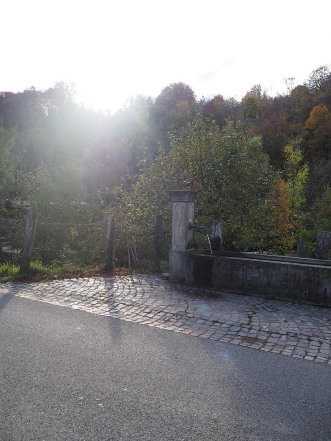 Ferienwohnung Dinkelbergblick Wehr  Zewnętrze zdjęcie